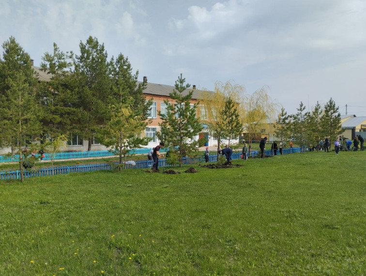 Сад Памяти.